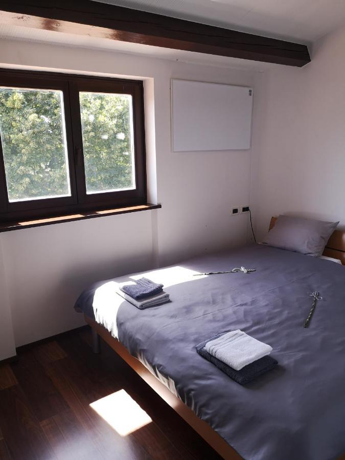 Plavje Apartma Rok מראה חיצוני תמונה